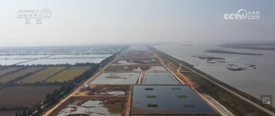 鲫鱼养殖场_鲫鱼养殖成功案例_本地鲫鱼的养殖技术