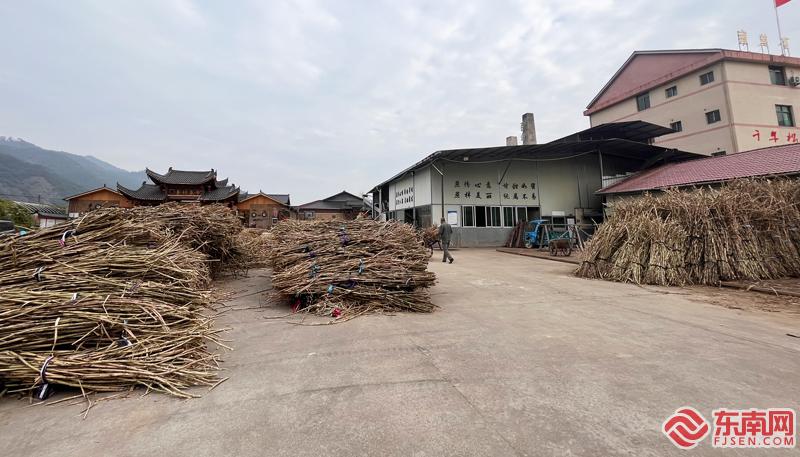 露地种植_露台种植蔬菜效果图_露台种植致富吗