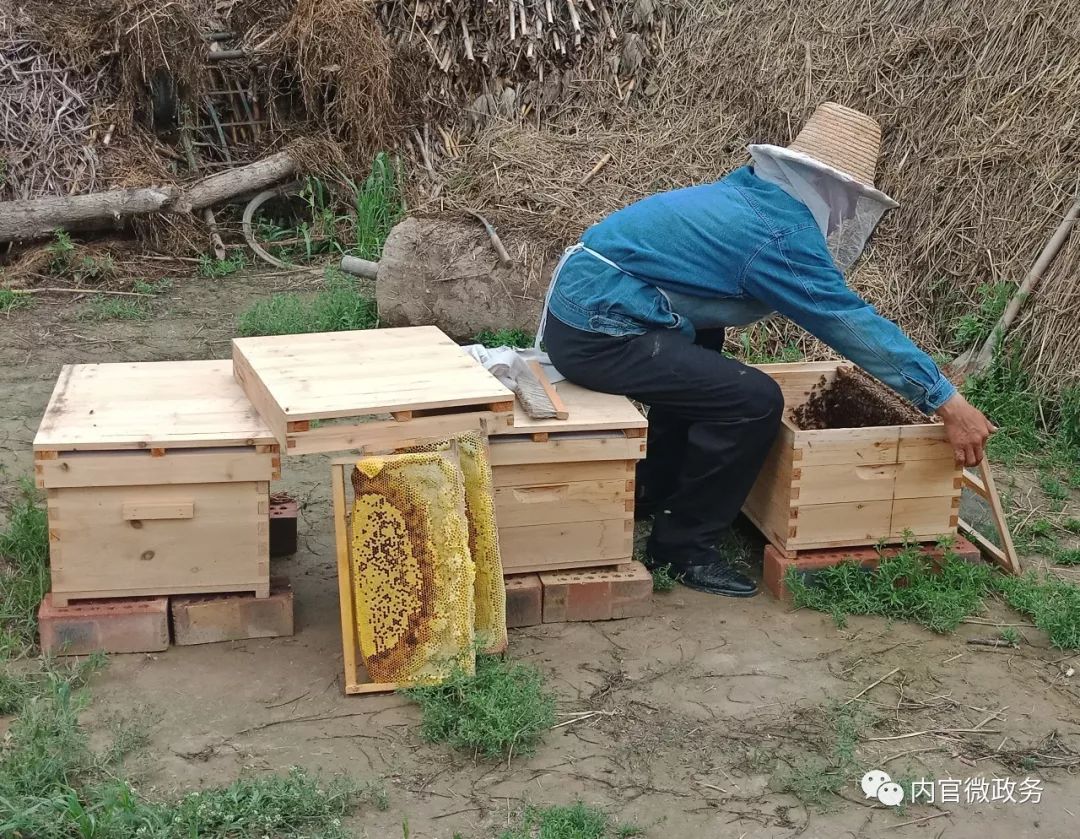 懒人养殖致富项目_致富养殖什么最赚钱_致富养殖好项目