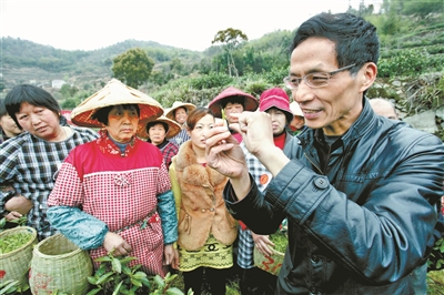 白茶种植致富_致富种植白茶怎么样_致富种植白茶好吗