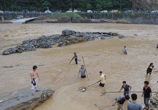 鲫鱼养殖场_鲫鱼养殖前景_本地鲫鱼的养殖技术