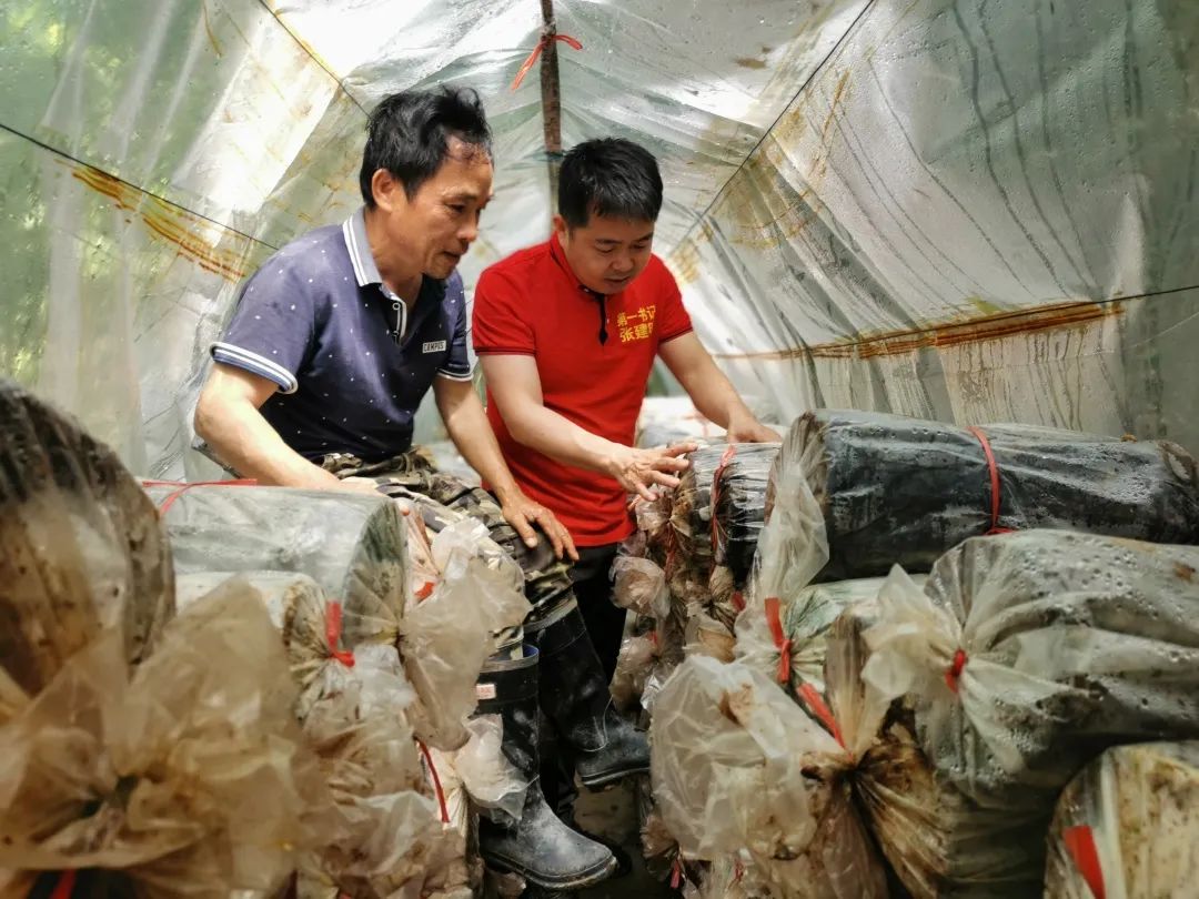 懒人养殖致富项目_农村致富新项目养殖_致富养殖好项目