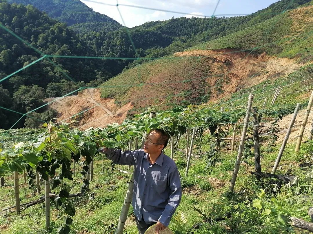 农村致富新项目养殖_懒人养殖致富项目_致富养殖好项目