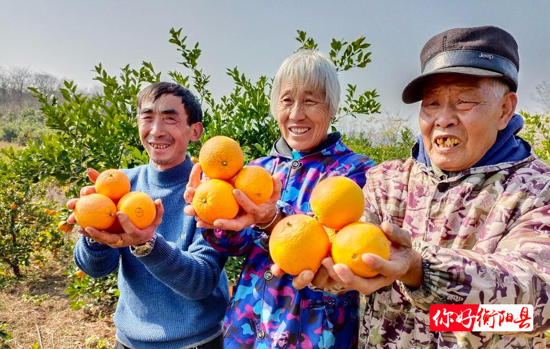 致富种植农业特色是什么_农业致富种植项目_特色种植农业致富