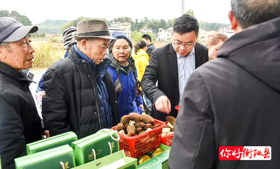 致富种植农业特色是什么_特色种植农业致富_农业致富种植项目