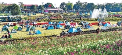 花博汇打造“花平台”小朱湾升级传统村落 留住美丽乡愁让市民流连忘返