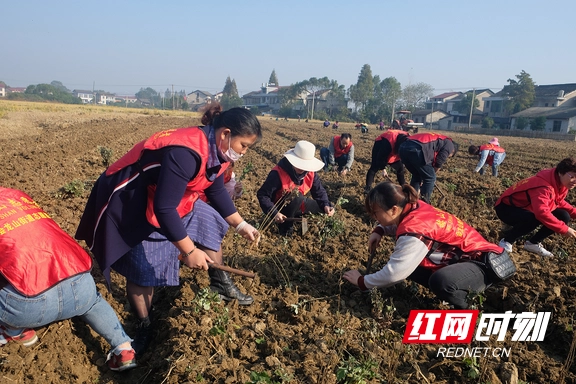 致富种植视频全集_鼓励种植致富的用词_种植致富新希望