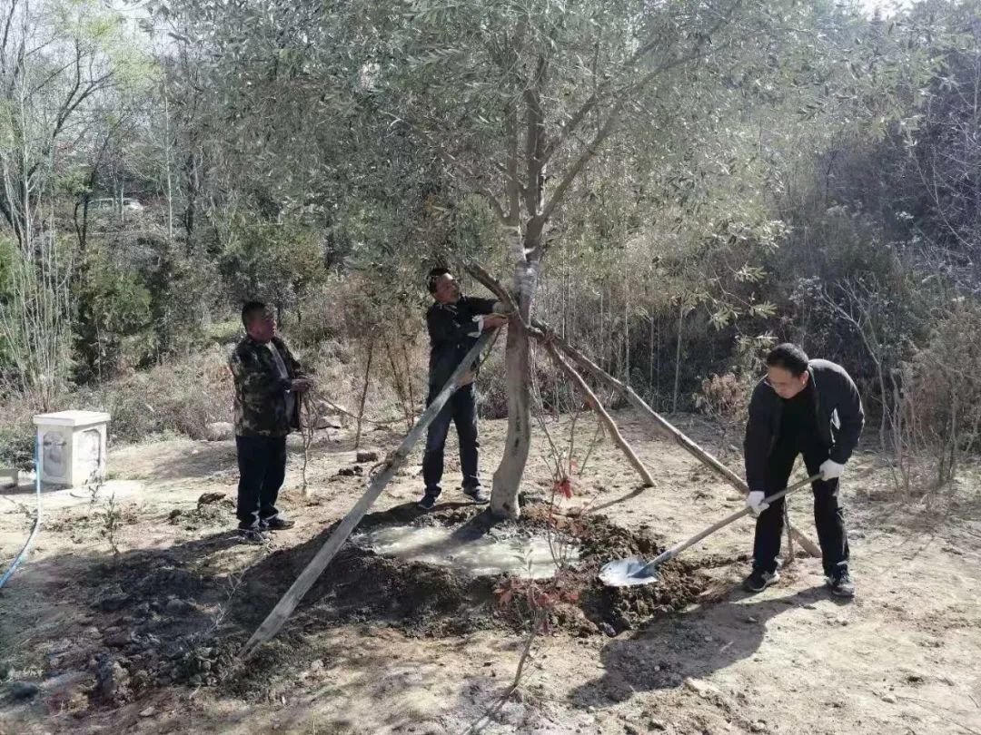 农村致富项目种植业_致富种植视频全集_春天种植致富项目