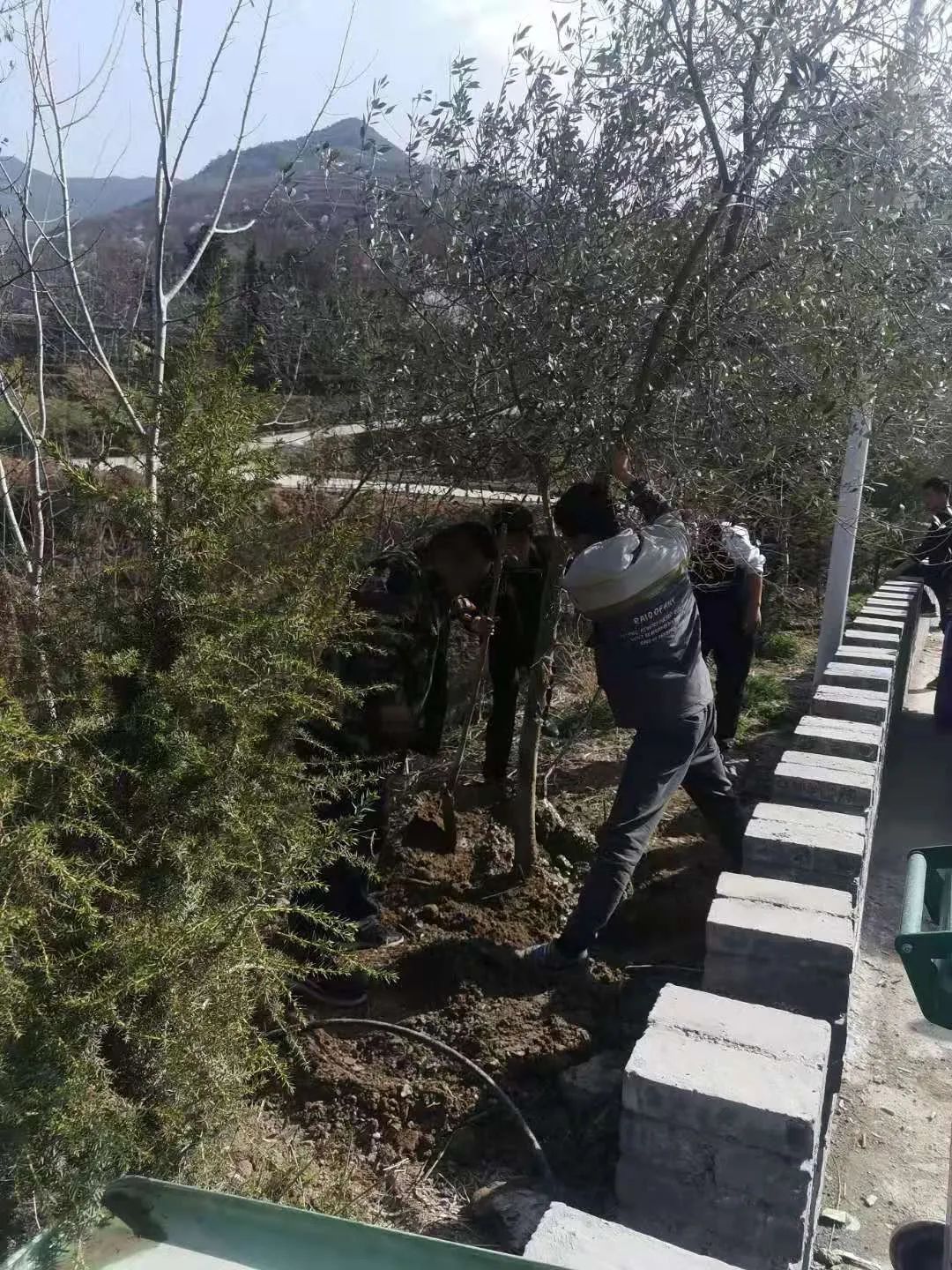 致富种植视频全集_春天种植致富项目_农村致富项目种植业