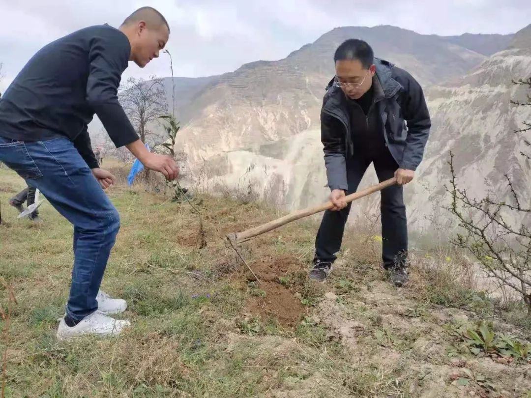 农村致富项目种植业_致富种植视频全集_春天种植致富项目