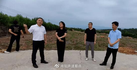 养殖致富黄粉虫新闻_养殖致富黄粉虫新闻_养殖致富黄粉虫新闻