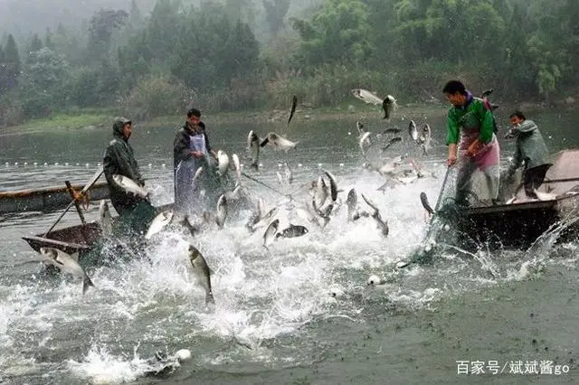 臭咸鱼对身体有没有伤害_臭咸鱼致富经是什么鱼_臭咸鱼味是什么气体