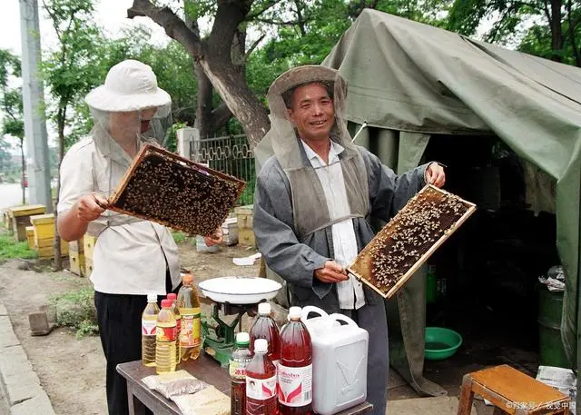 养蜂到底赚不赚钱？看看这三个人是怎么说的