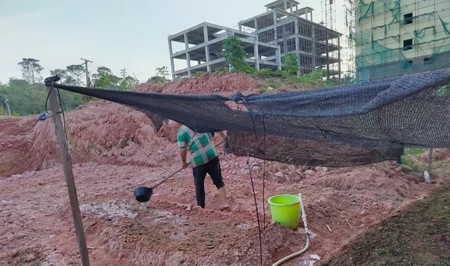 蚯蚓地龙养殖技术视频_农广天地蚯蚓养殖视频_农广天地蚯蚓养殖技术视频