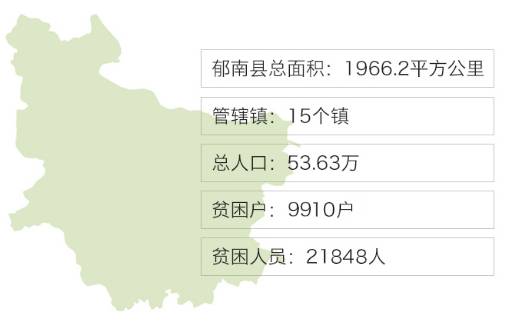 养殖本地鸡技术_养本地鸡技术视频_鸡养殖基地具备哪些条件