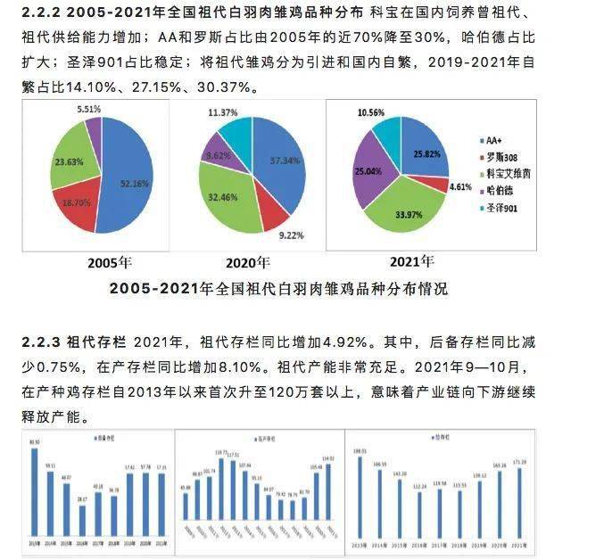 肉鸡817的养殖技术_养殖肉鸡技术宝典_养殖肉鸡技术