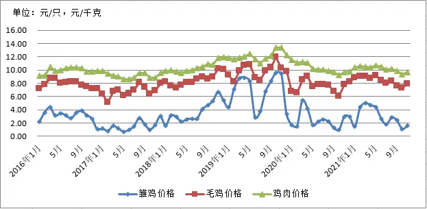 养殖肉鸡技术宝典_肉鸡817的养殖技术_养殖肉鸡技术