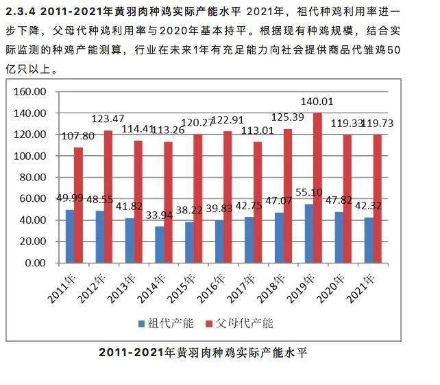 养殖肉鸡技术宝典_肉鸡817的养殖技术_养殖肉鸡技术