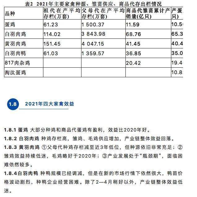 肉鸡817的养殖技术_养殖肉鸡技术_养殖肉鸡技术宝典