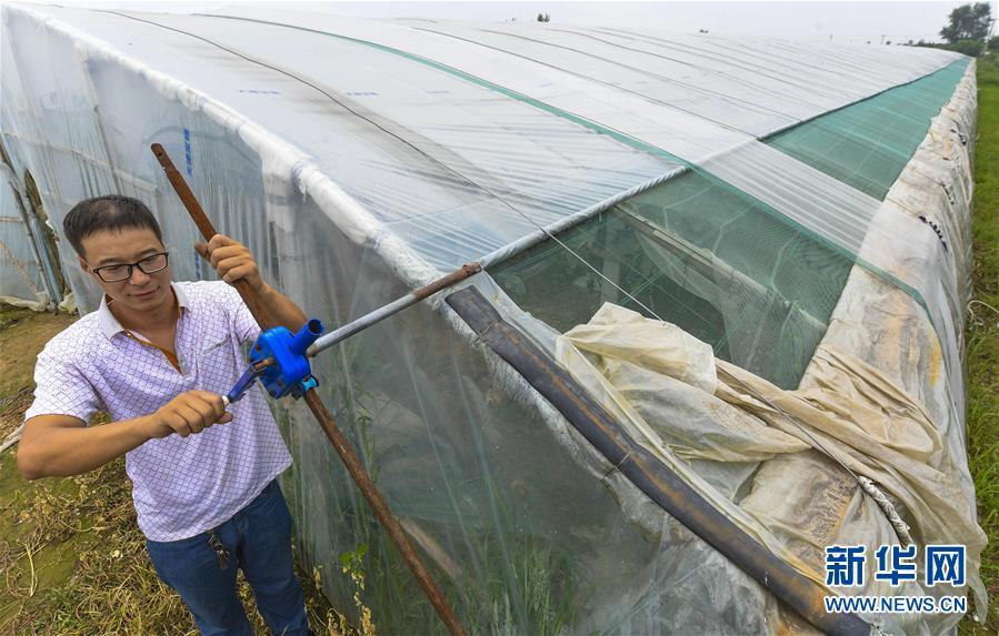 致富能手标准_种植能手带致富_农村种植致富能手发言稿