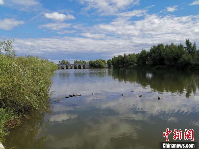 泥鳅养殖致富经杨丽_养殖泥鳅挣钱吗_养殖泥鳅富豪