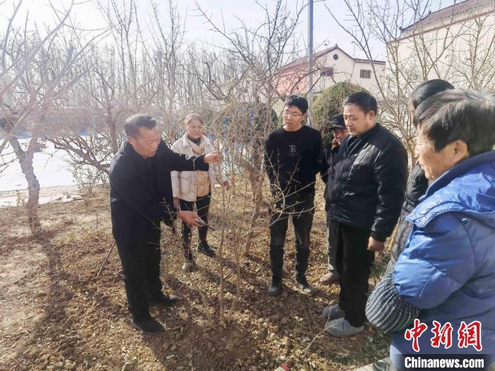 郓城孔雀养殖_山东菏泽孔雀养殖技术_菏泽孔雀养殖基地