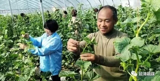 党员种植致富瓜_农民种植致富_种植致富带头人发言稿