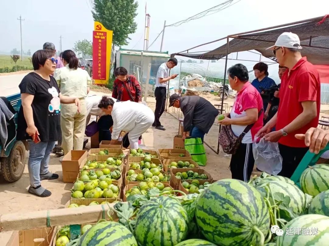 种植致富带头人发言稿_党员种植致富瓜_农民种植致富