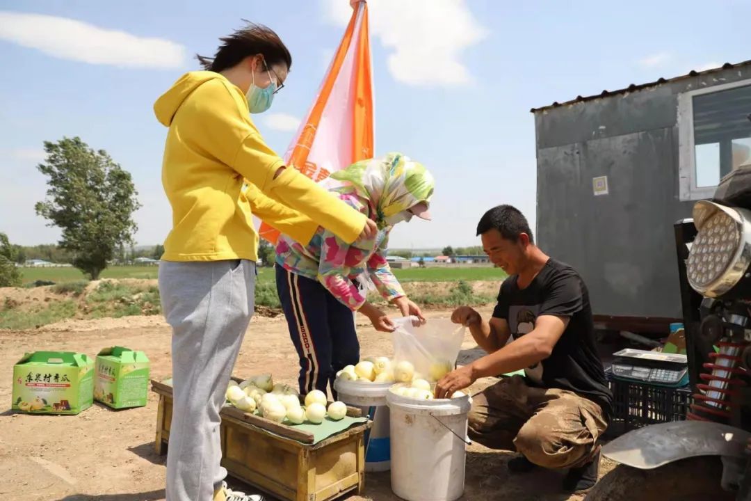 农村致富带头人范文种植业_农民种植致富_党员种植致富瓜