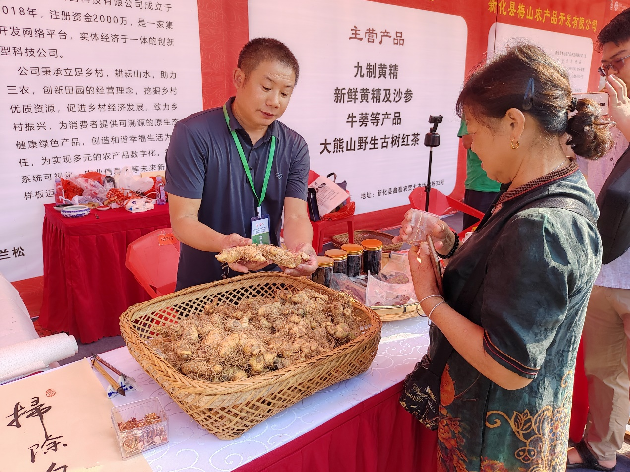 黄精种植技术黄精图片_黄精种植技术黄精图片_黄精种植技术黄精图片