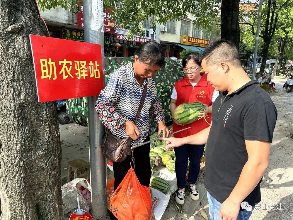 种植致富带头人发言稿_农村党员种植带头致富事迹_党员种植致富瓜