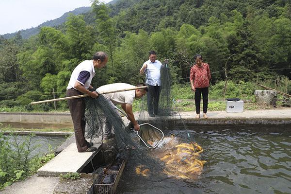 致富养殖冰水鱼视频_冰水养鱼有啥好处_养殖冰水鱼致富