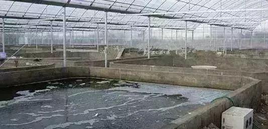 水产养殖大棚建造_海滨大棚水产养殖技术_海滨养殖水产大棚技术规范