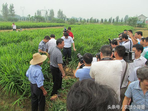 优质经验作用是什么_优质经验作用_优质经验作用不包括