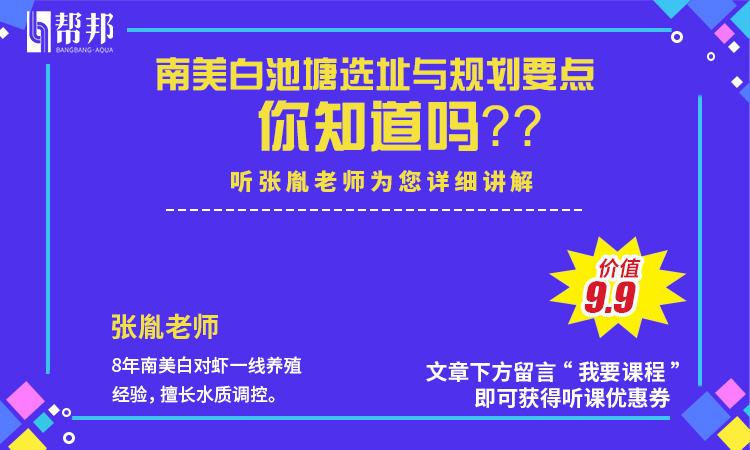 揭秘！冬棚对虾养殖成功率高达100%！到底是吹牛皮还是真技术？