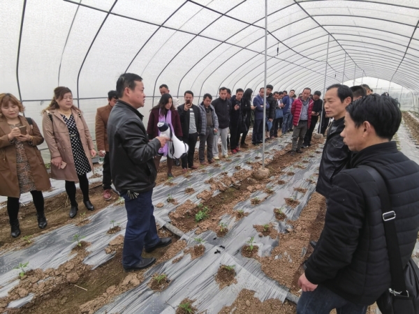 打造乡村振兴人才强劲引擎——写在湖南首个(岳阳)新时代农民培训学院揭牌成立之际