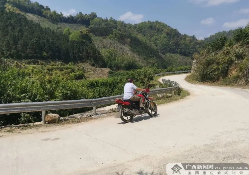 西红柿致富路_西红柿种植致富法宝_致富经西红柿种植技术