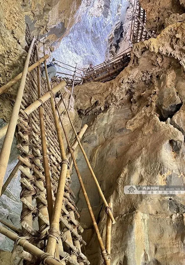 西红柿致富路_致富经西红柿种植技术_西红柿种植致富法宝