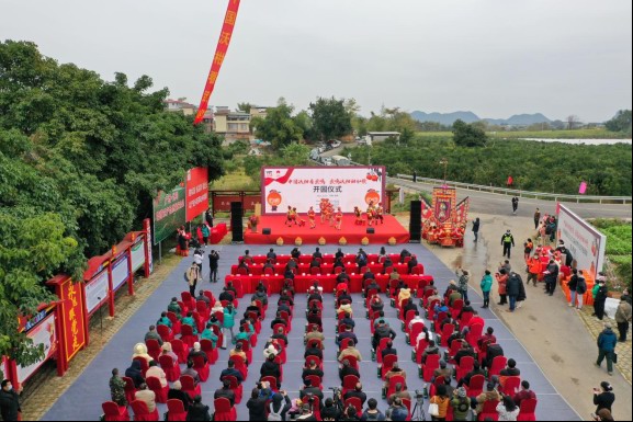 碰柑的产地在哪里_碰柑什么时候播种_致富经视频碰柑种植