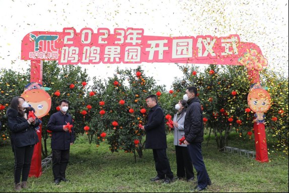 碰柑的产地在哪里_碰柑什么时候播种_致富经视频碰柑种植