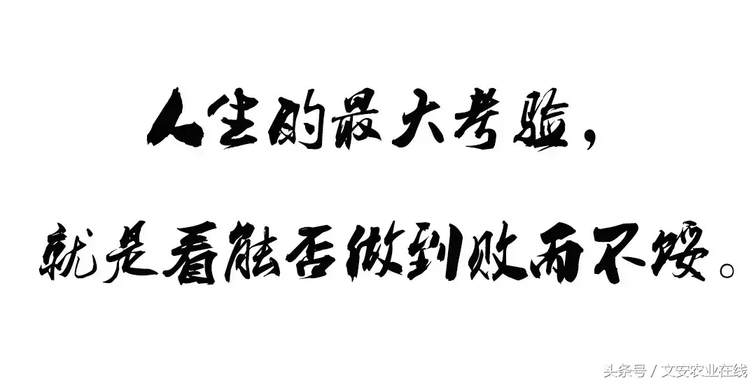 如何从日赚3块到日赚3万？他说，就凭两个字