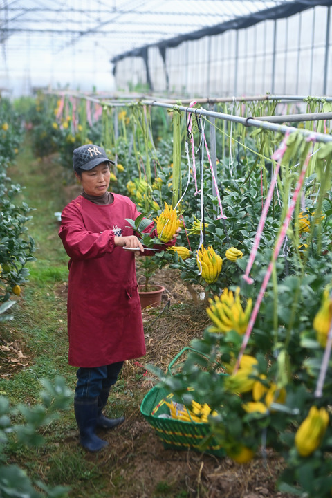 致富之路什么意思_种植致富之路_2020致富之路