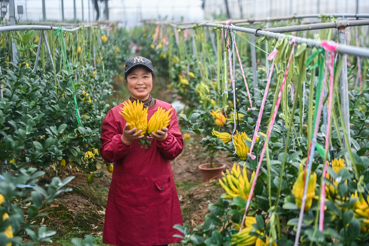 致富之路什么意思_种植致富之路_2020致富之路