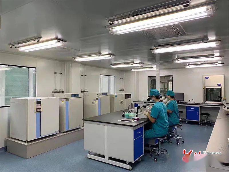 致富经创业项目农村养殖牛_良种牛养殖致富_致富养殖良种牛视频