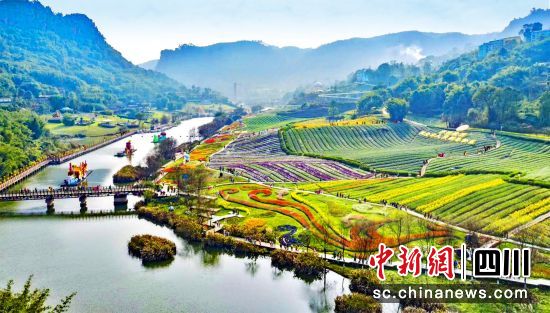 花田酒地。纳溪区文旅局供图