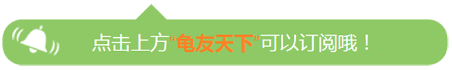 打工仔回乡承包鱼塘养鳄龟，从此走上致富路