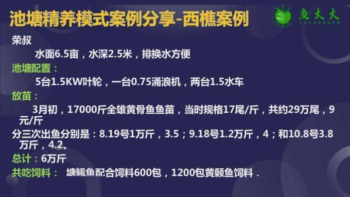 黄颡鱼的养殖技术_主养黄颡鱼成鱼养殖模式_黄颡鱼养殖注意事项