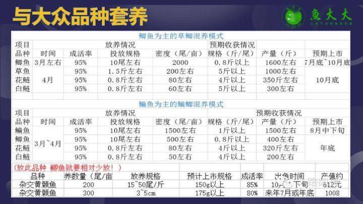 主养黄颡鱼成鱼养殖模式_黄颡鱼养殖注意事项_黄颡鱼的养殖技术