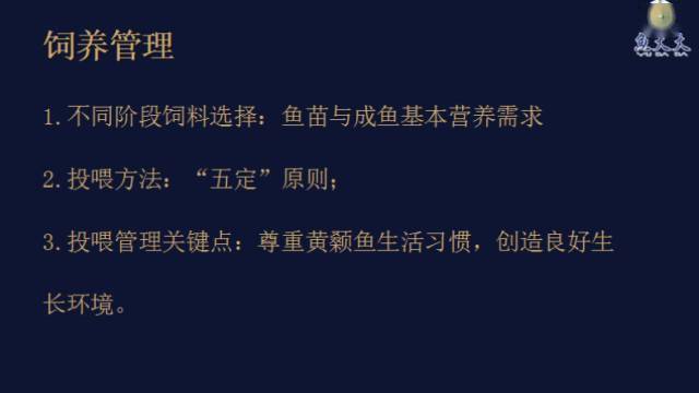 主养黄颡鱼成鱼养殖模式_黄颡鱼养殖注意事项_黄颡鱼的养殖技术