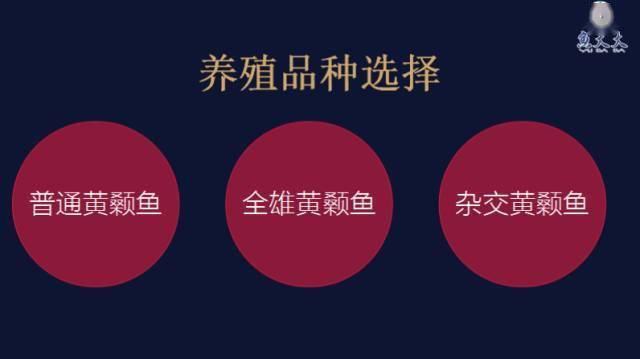 主养黄颡鱼成鱼养殖模式_黄颡鱼养殖注意事项_黄颡鱼的养殖技术